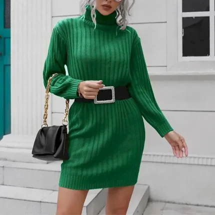 Women's Mini Dress Sweater Dress Knit Dress Casual Dress Fashion Outdoor Party Holiday Regular Fit Plain Short Sleeve Turtleneck Green Khaki Fall - Image 3